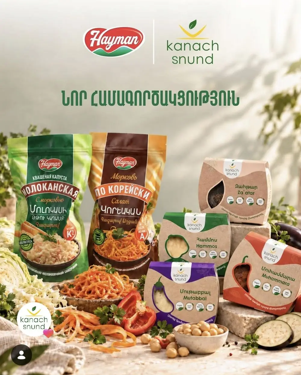 Hayman × Kanach Snund